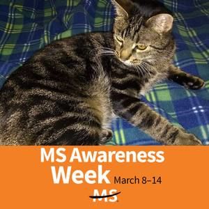 Meet your Posher, Karina